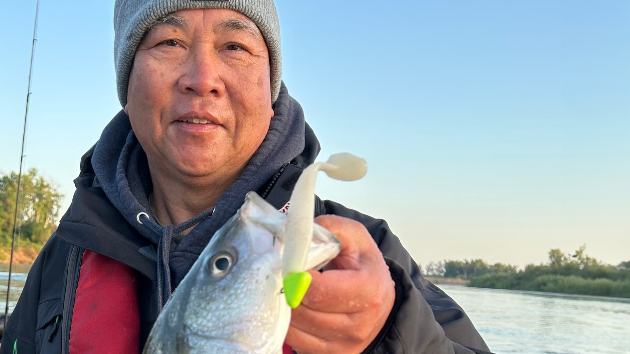 AA Baits - Gearing up for Swimbait Stripers