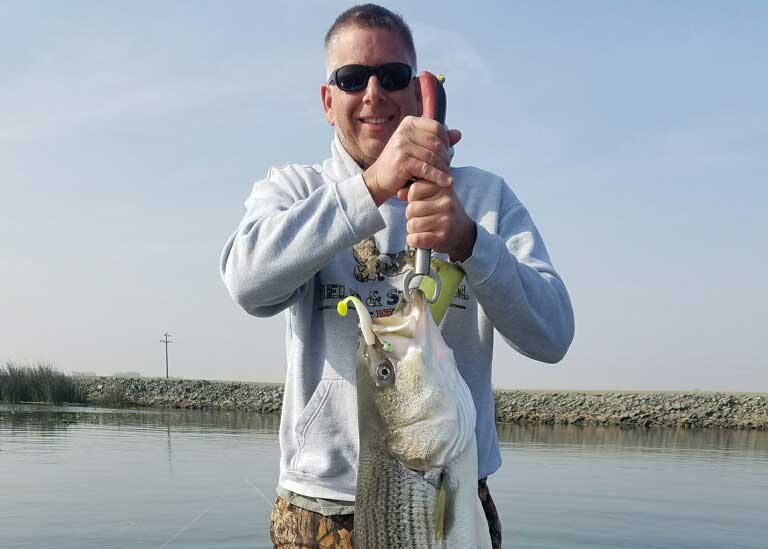 Q. What color Bubba Shads do you like for Targeting Striper & Largemouth Bass?