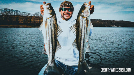 AA’s Bad Bubba Shad Swimbait featured on "Holdover Stripers: Tapping Into a Sleeper Winter Bass Fishery" -  Wired2fish.com