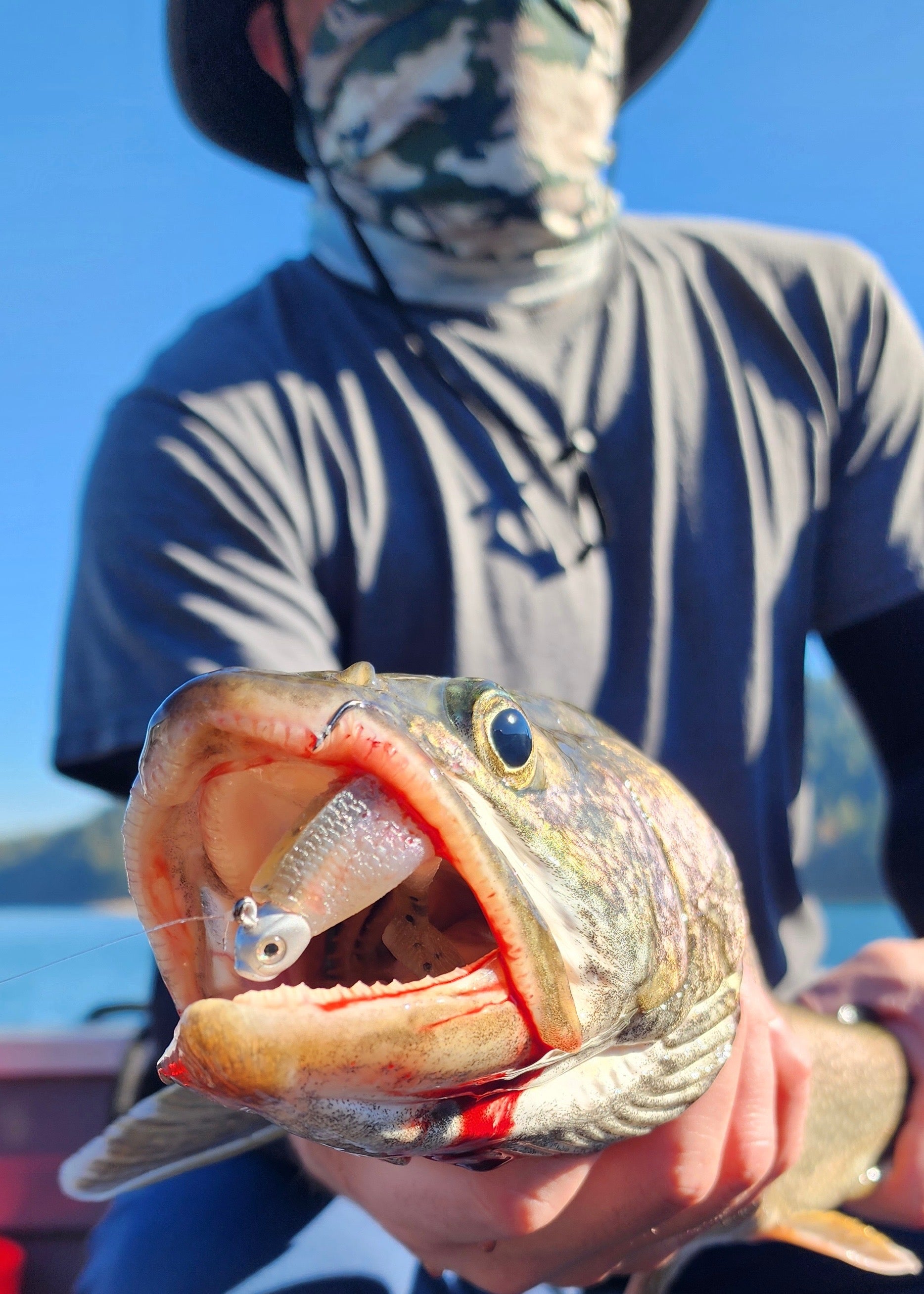 AA Worms-The Lunker's Choice – AA Worms - The Lunker's Choice